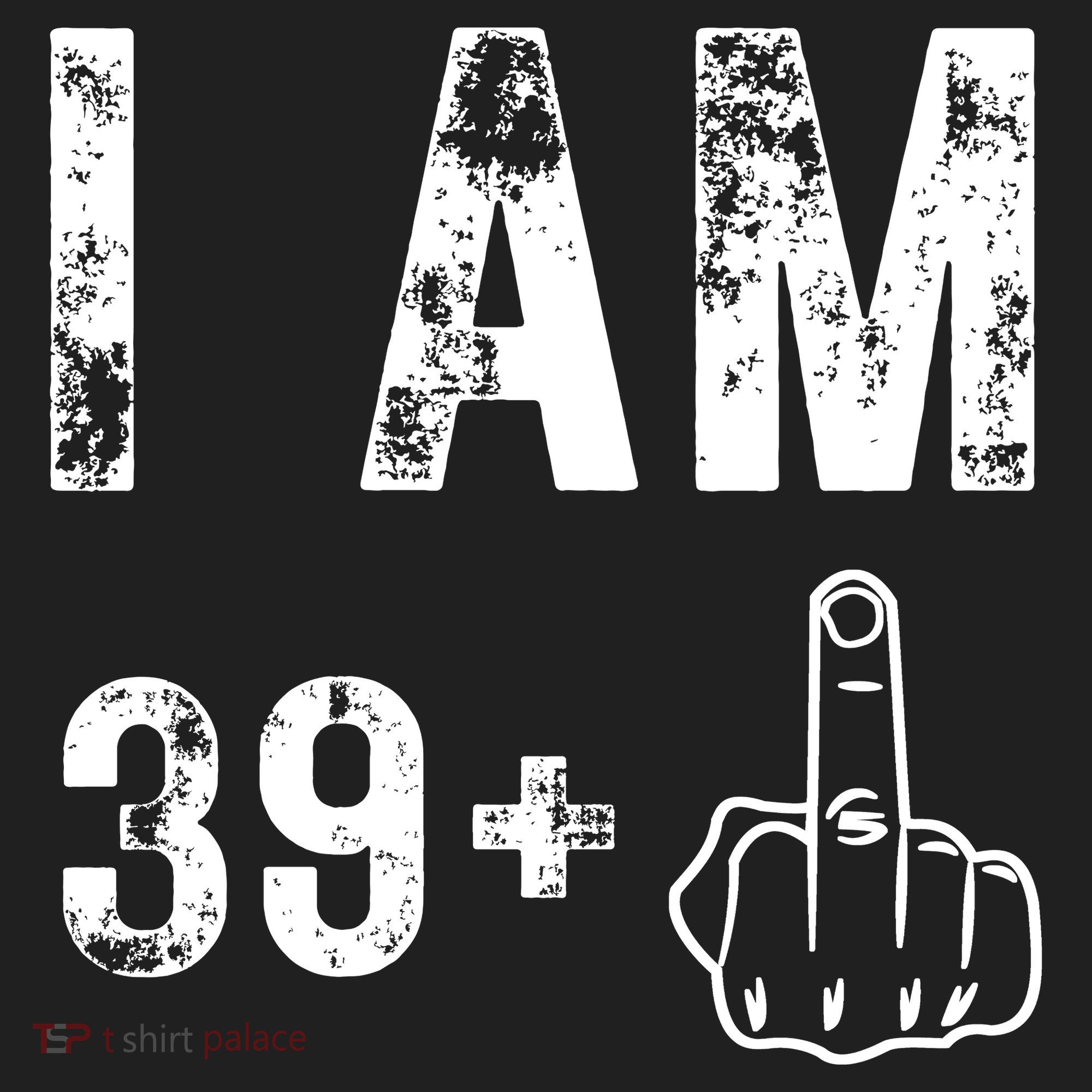 I Am 39 Plus Middle Finger 40th Birthday Gift Women's Sweatshirt