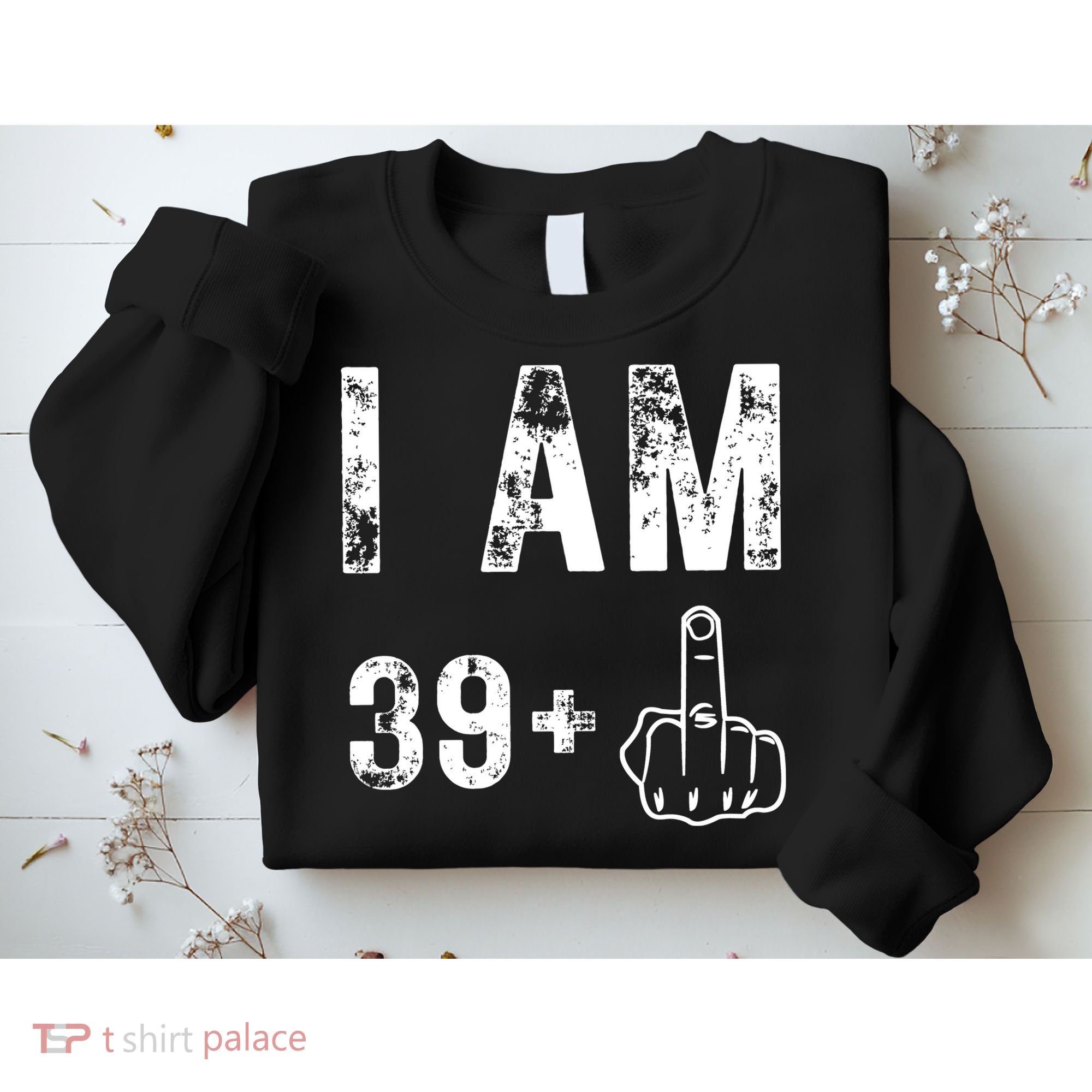 I Am 39 Plus Middle Finger 40th Birthday Gift Sweatshirt