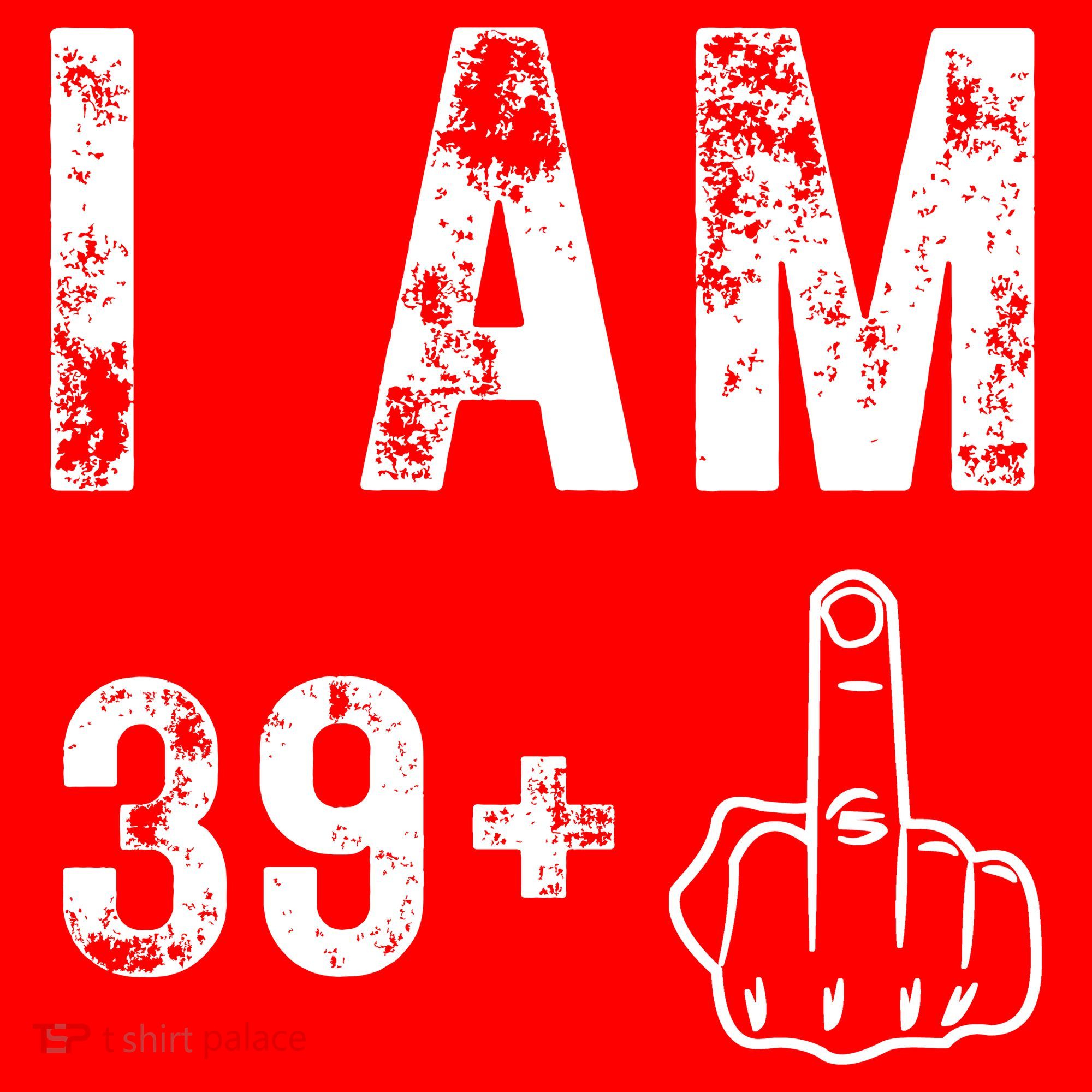 I Am 39 Plus Middle Finger 40th Birthday Gift Santa Hat