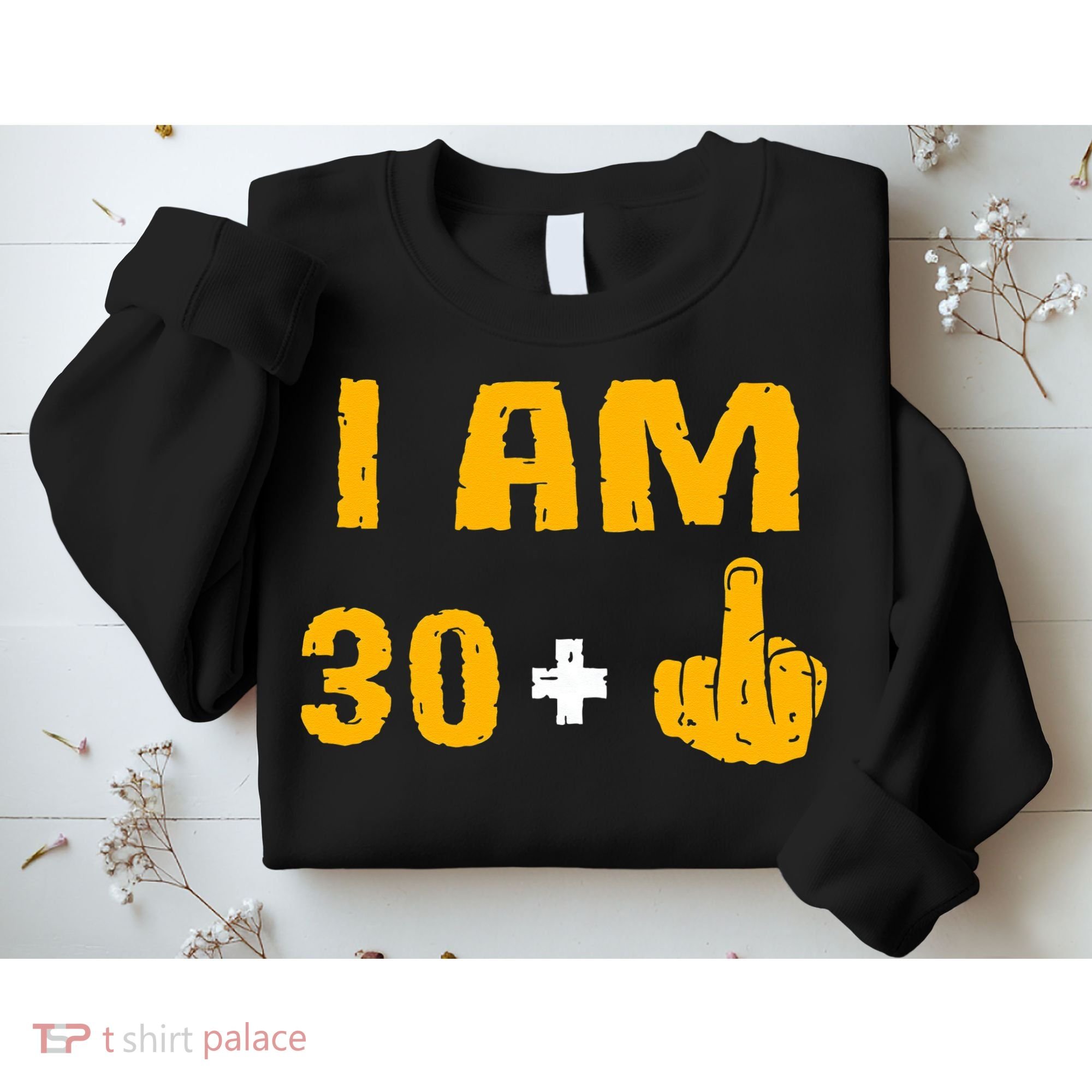 I Am 30 Plus 1 Funny 31st Birthday 31 Years Old Bday Party Sweatshirt