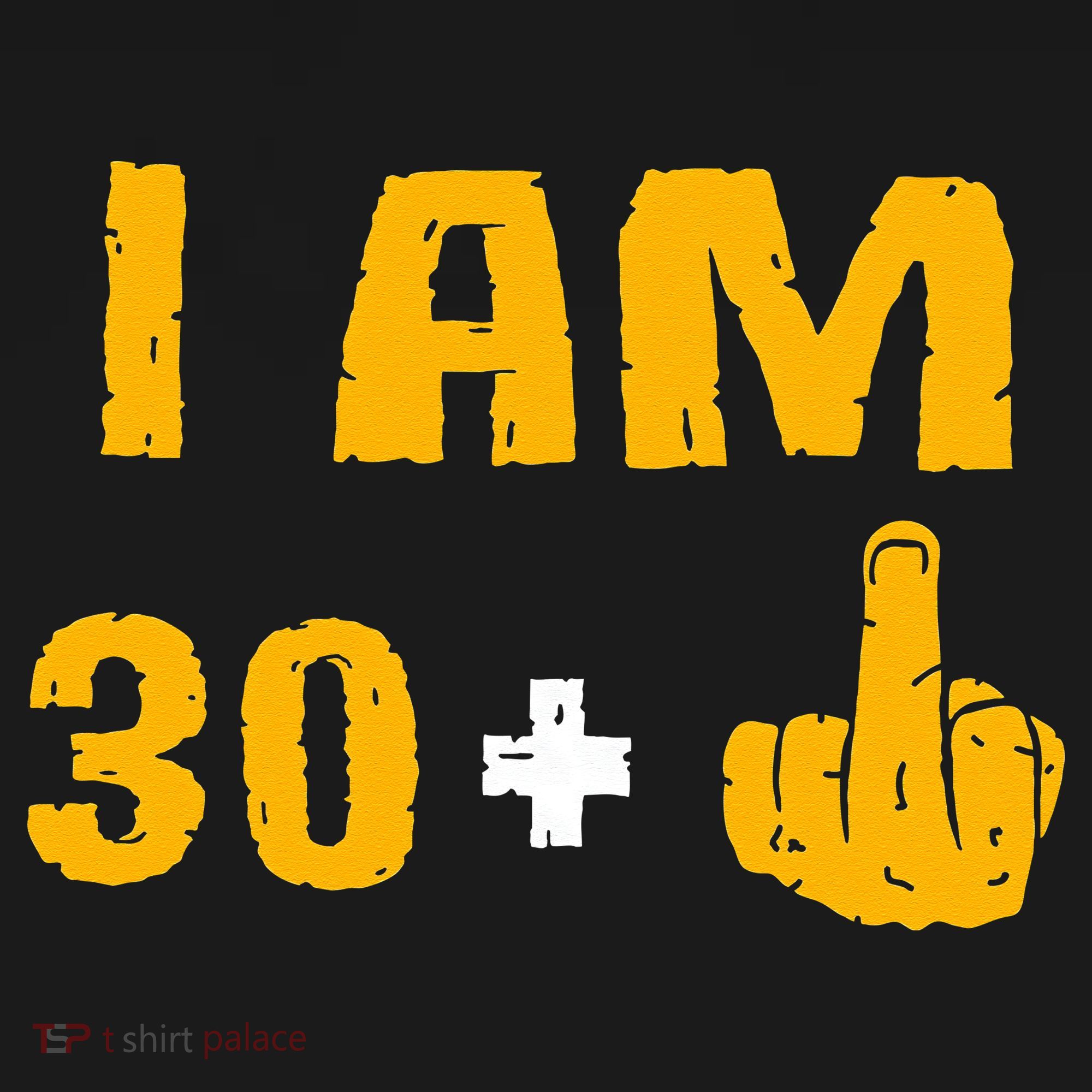 I Am 30 Plus 1 Funny 31st Birthday 31 Years Old Bday Party Tank Top