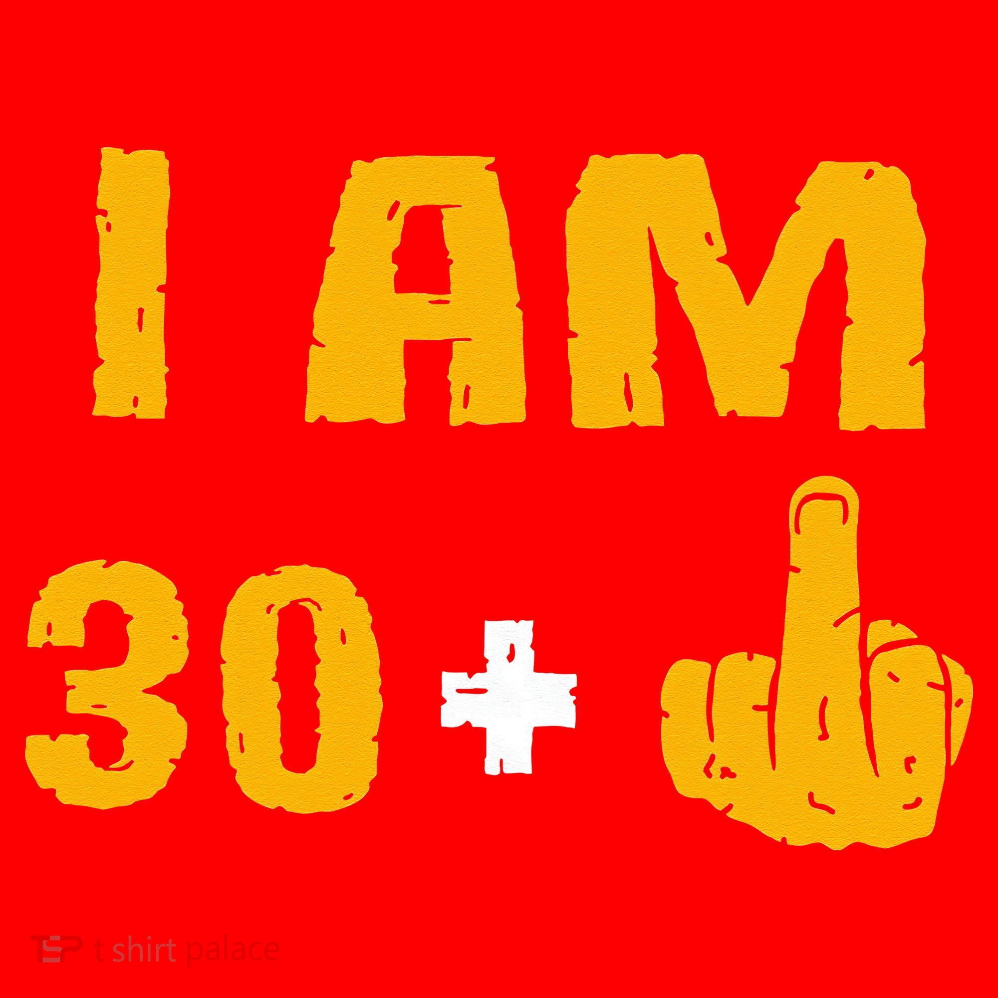 I Am 30 Plus 1 Funny 31st Birthday 31 Years Old Bday Party Santa Hat