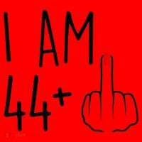 I Am 44 Plus 1 Middle Finger For A 45th Birthday Santa Hat thumb 1