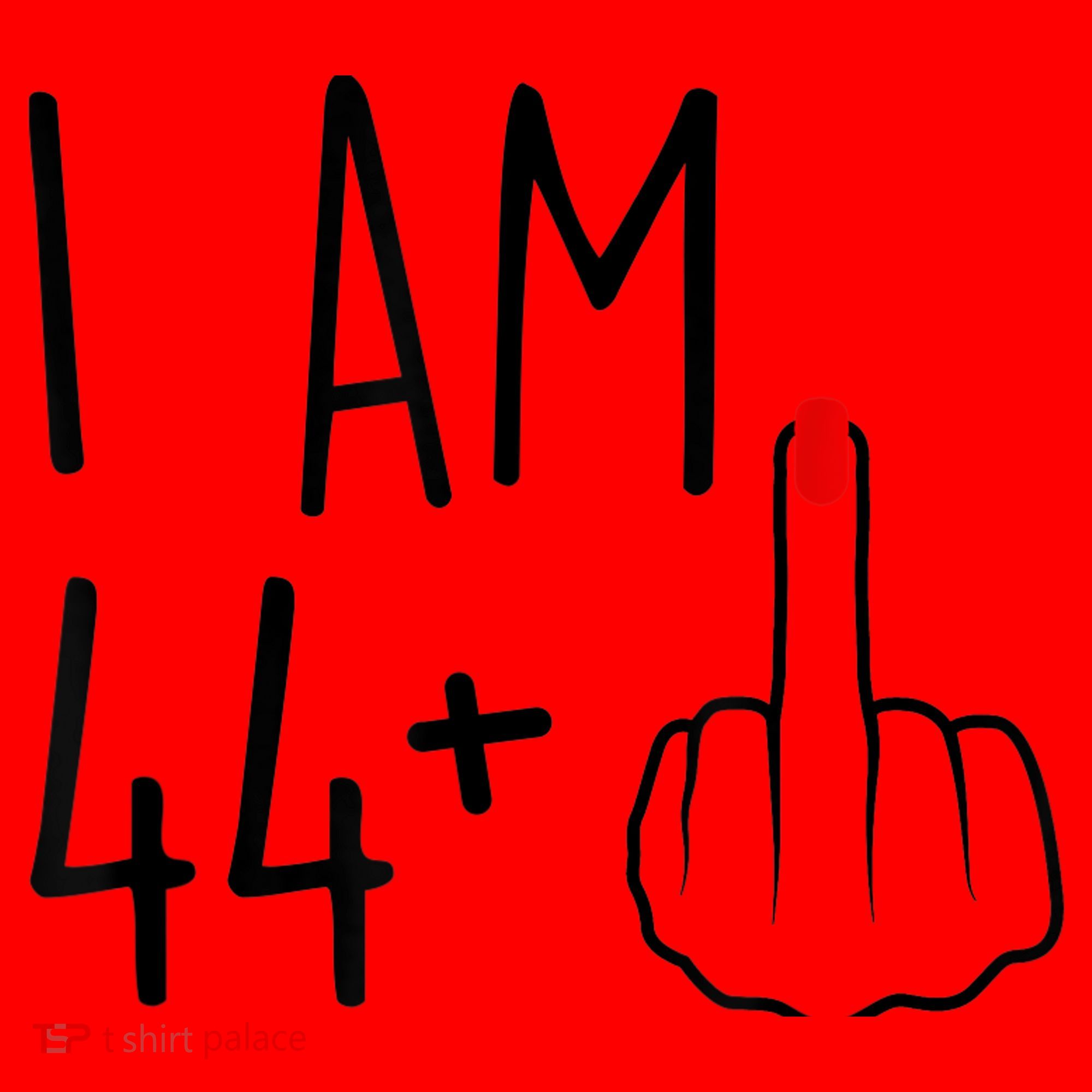 I Am 44 Plus 1 Middle Finger For A 45th Birthday Santa Hat