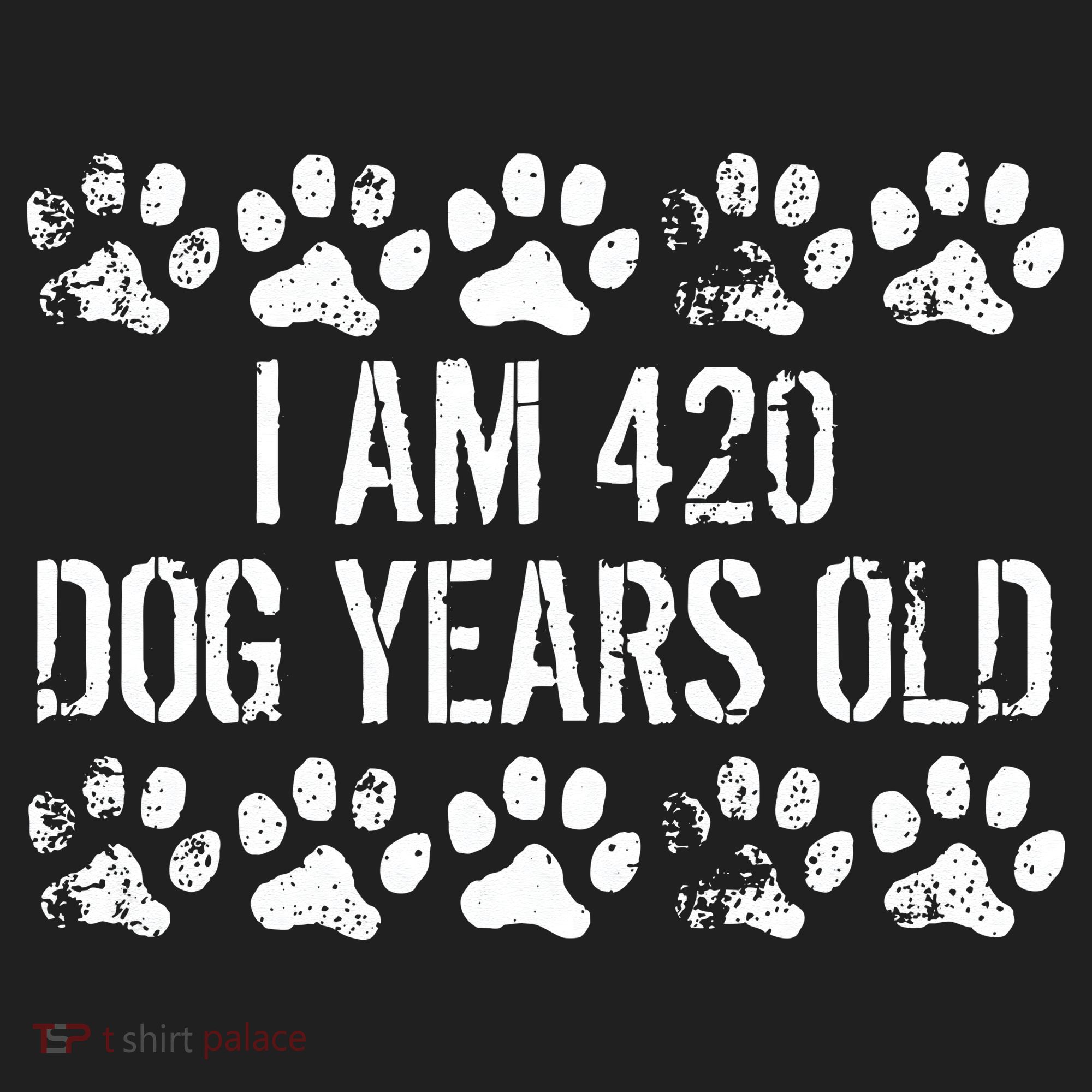 I Am 420 Dog Years Old Funny 60th Birthday Beanie