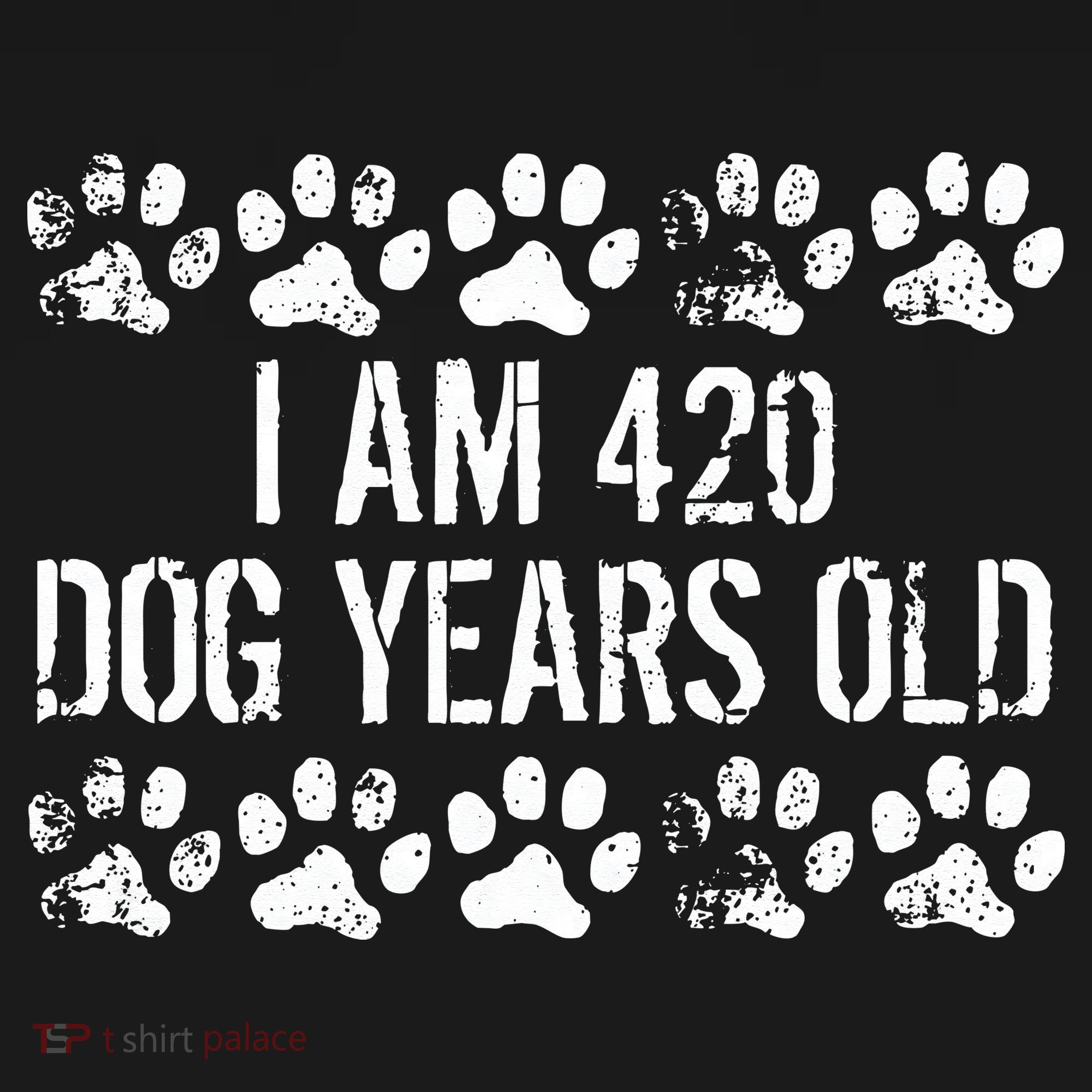 I Am 420 Dog Years Old Funny 60th Birthday Women's Hoodie