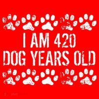 I Am 420 Dog Years Old Funny 60th Birthday Santa Hat thumb 1