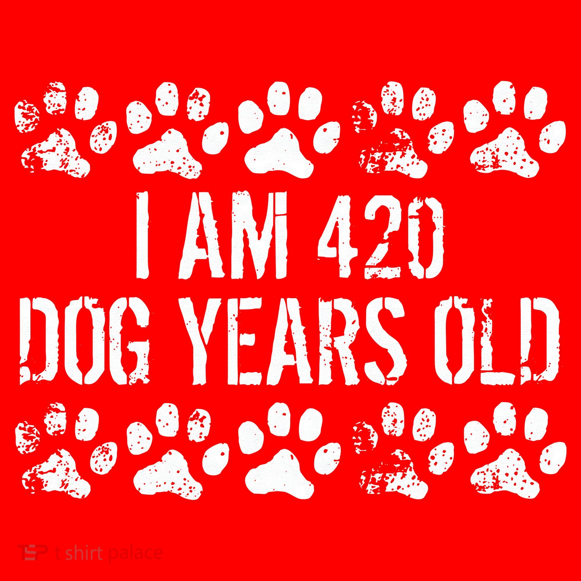 I Am 420 Dog Years Old Funny 60th Birthday Santa Hat