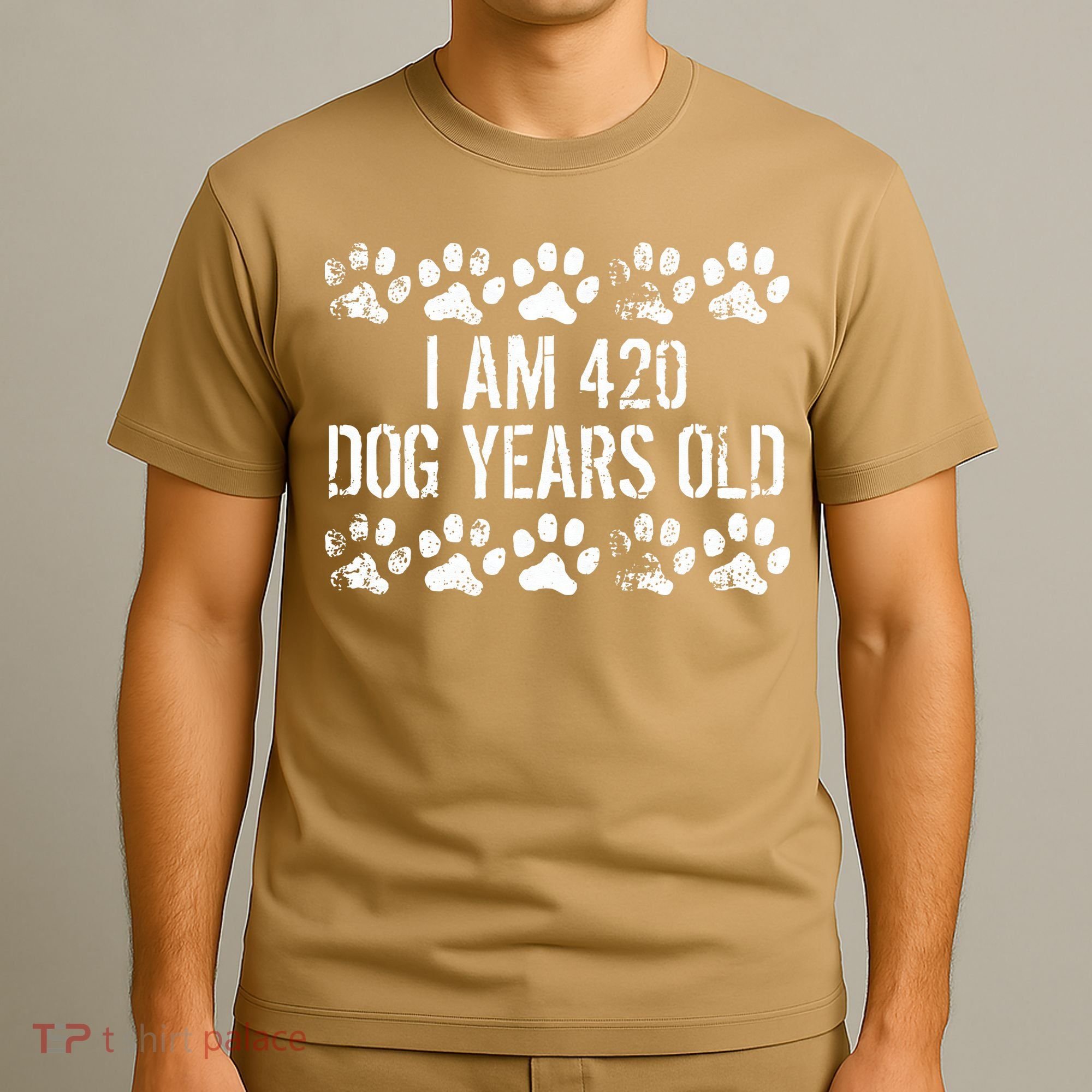 I Am 420 Dog Years Old Funny 60th Birthday T-Shirt