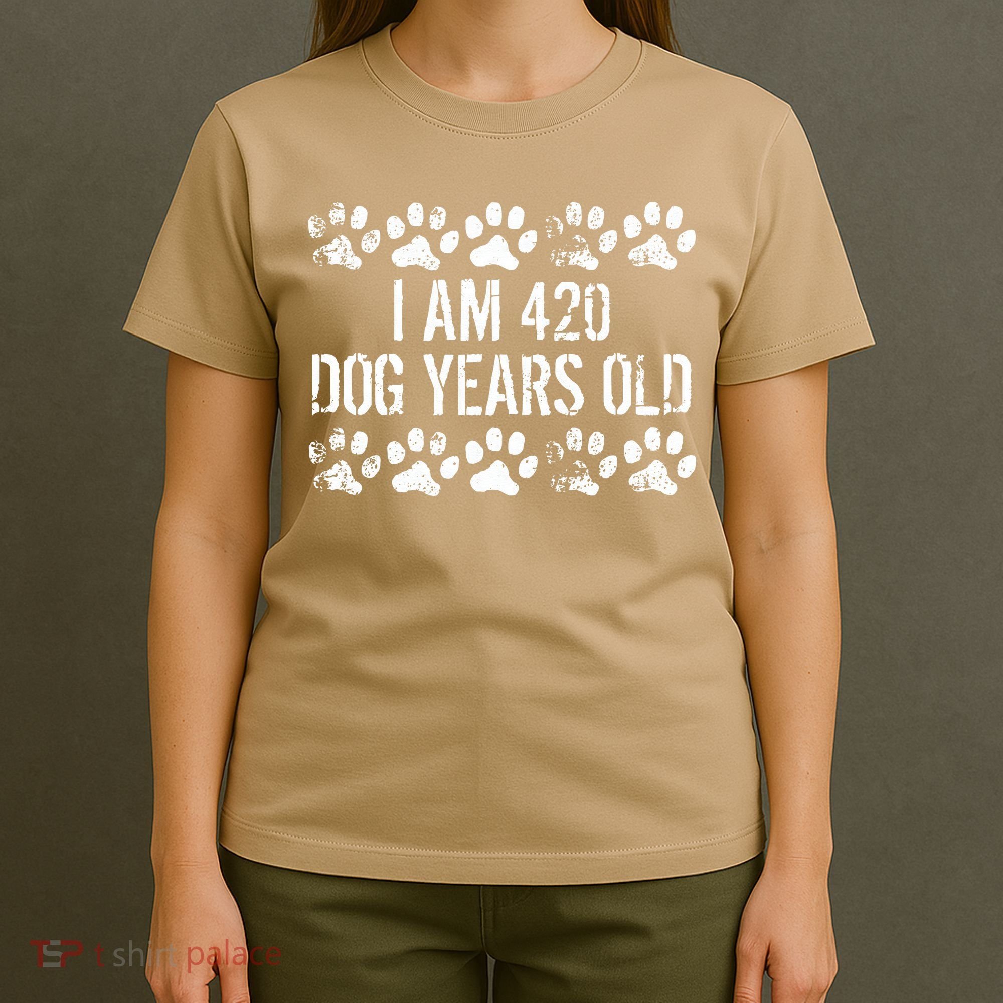 I Am 420 Dog Years Old Funny 60th Birthday T-Shirt