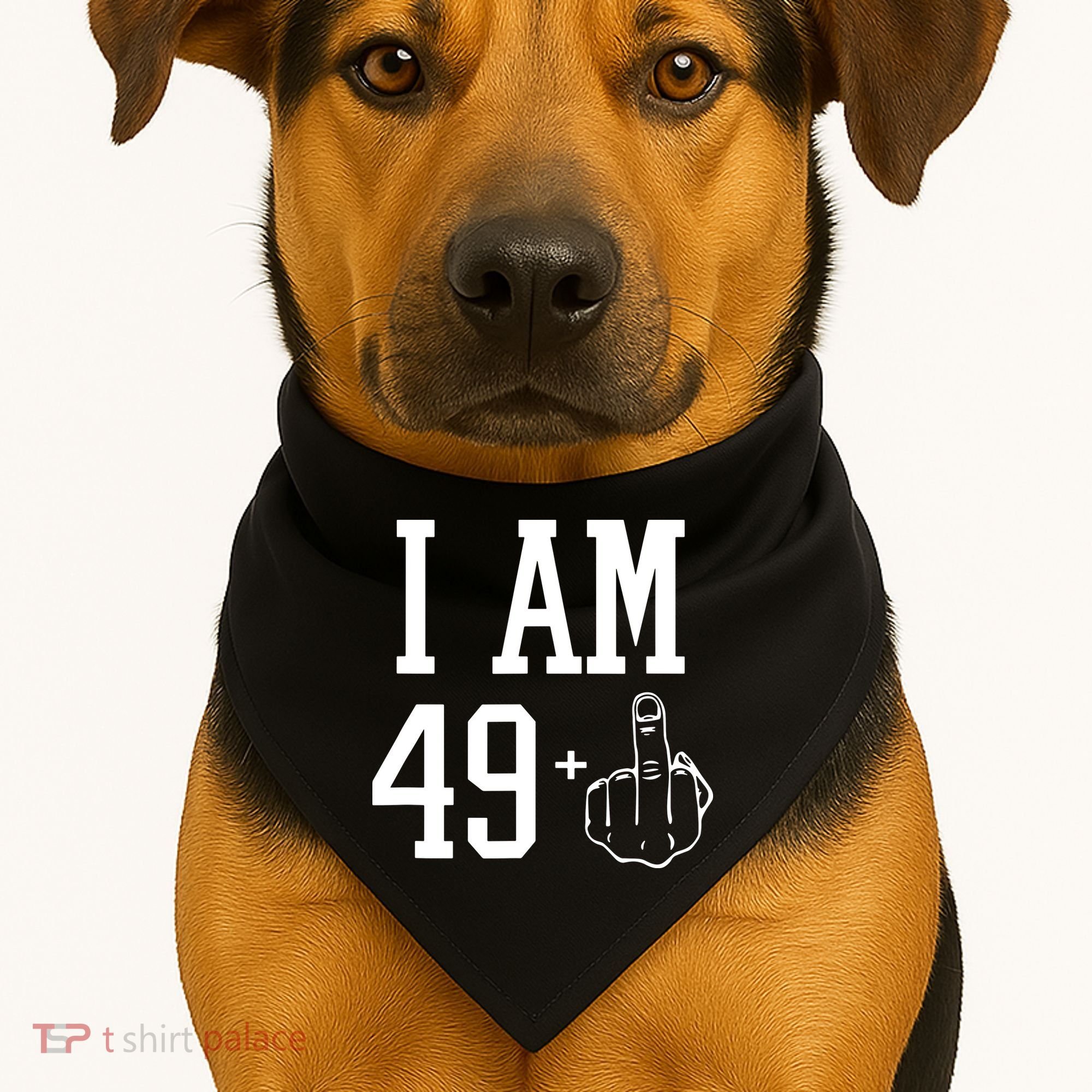 I Am 49 Plus Middle Finger Sarcastic 50th Birthday USA-Made Doggie Bandana