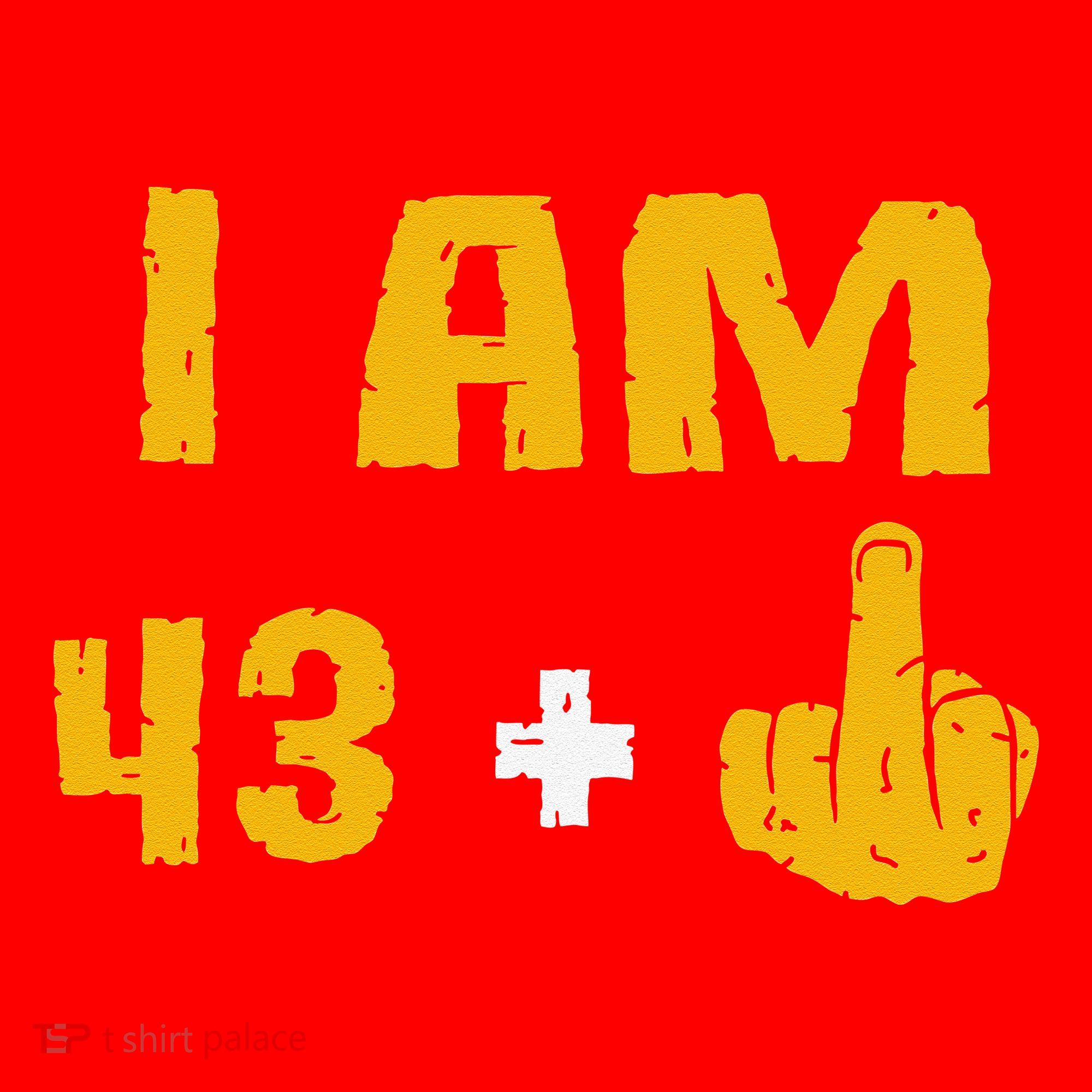 I Am 43 Plus 1 Middle Finger 44th Birthday Gift 44 Years Old Santa Hat