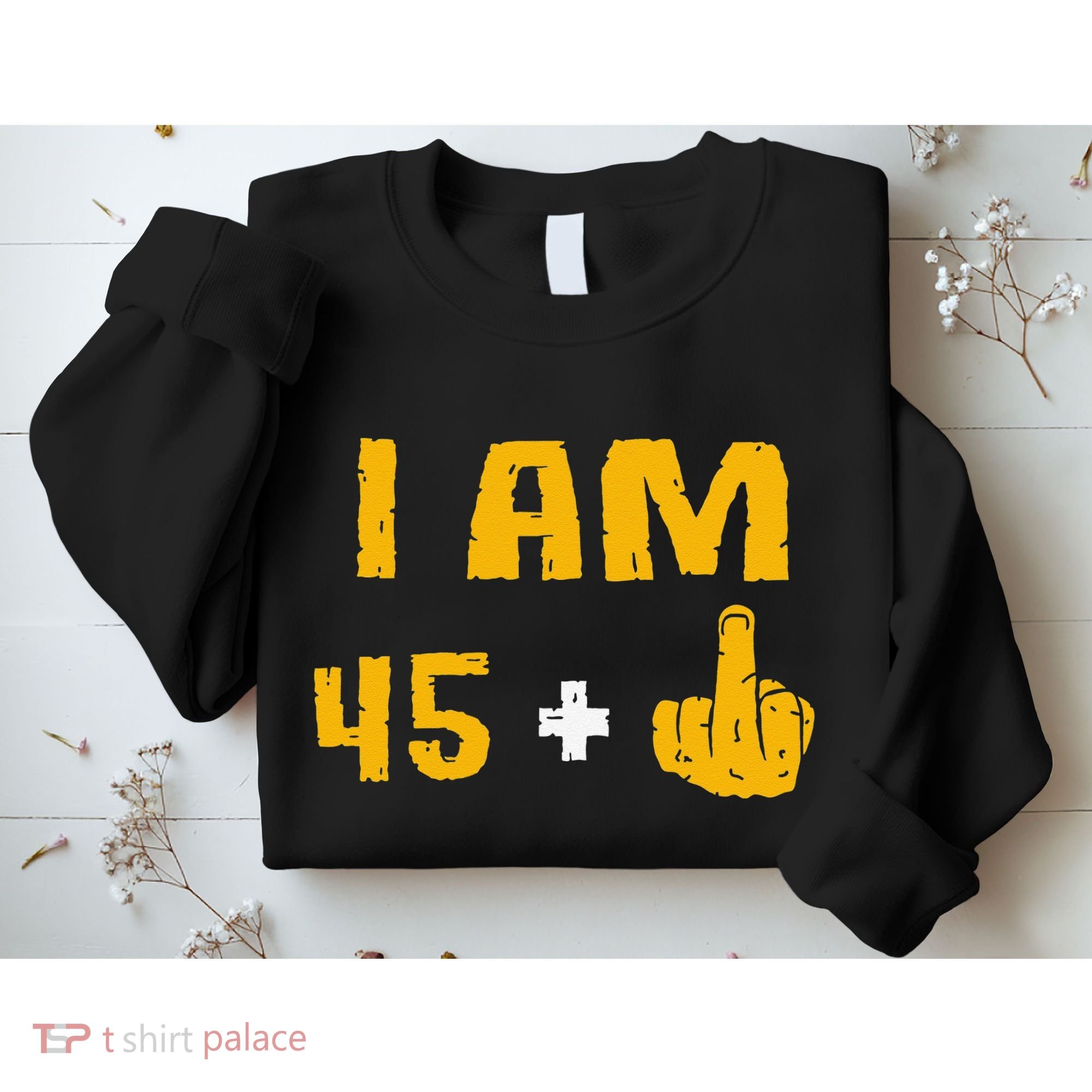 I Am 45 Plus 1 Middle Finger 46th Birthday Gift 46 Years Old Sweatshirt