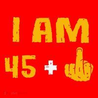 I Am 45 Plus 1 Middle Finger 46th Birthday Gift 46 Years Old Santa Hat thumb 1