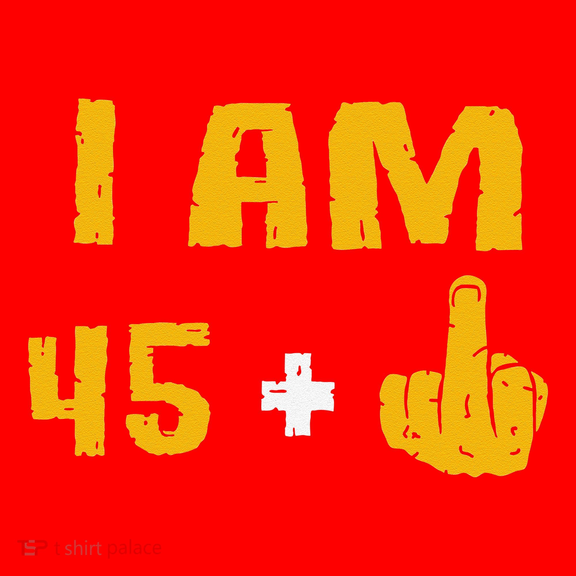 I Am 45 Plus 1 Middle Finger 46th Birthday Gift 46 Years Old Santa Hat