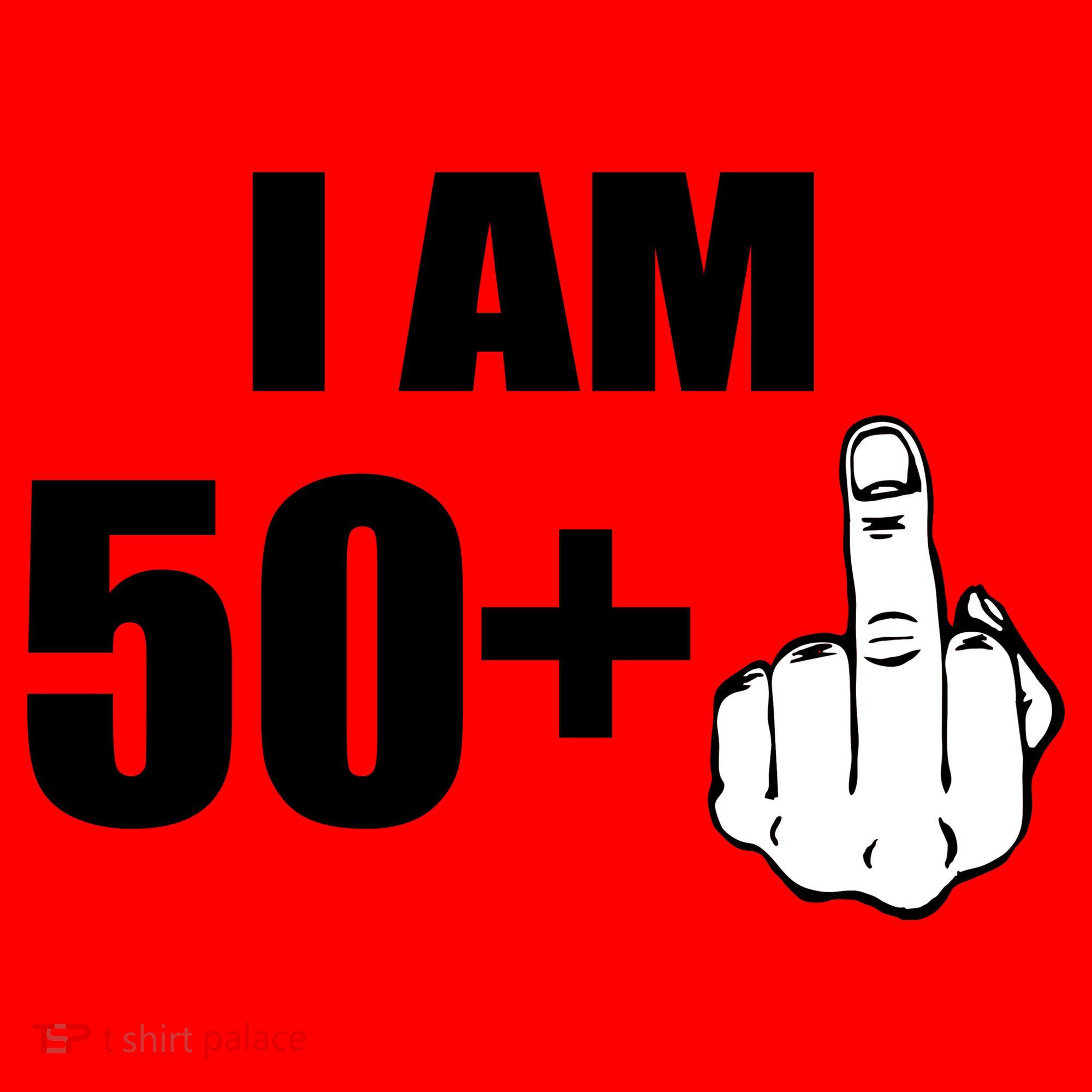 I Am 51 Middle Finger Funny 51st Birthday Santa Hat