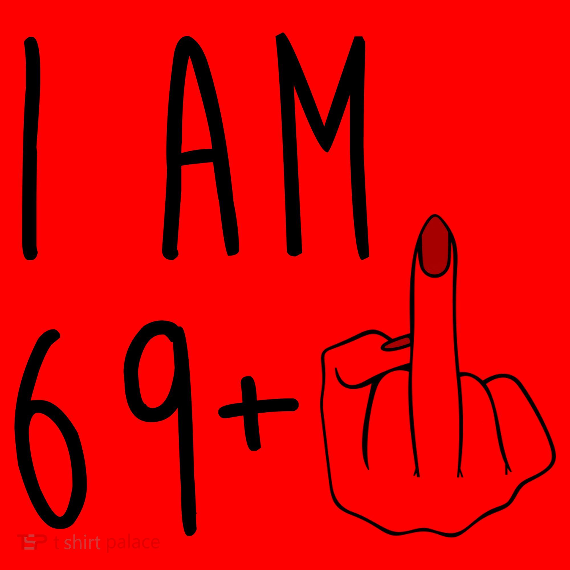 I Am 69 Plus Middle Finger Funny 70th Birthday Santa Hat