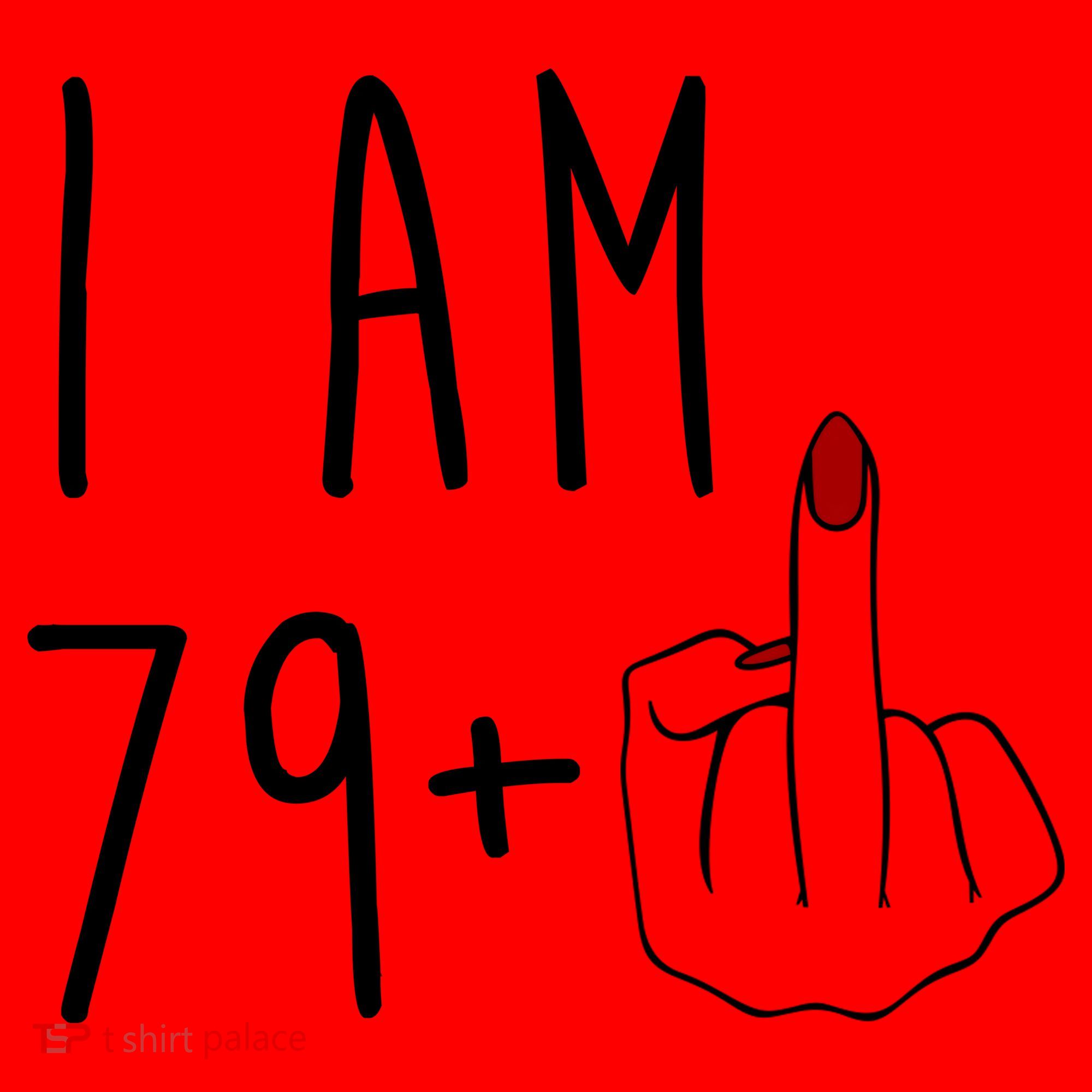 I Am 79 Plus Middle Finger Funny 80th Birthday Santa Hat