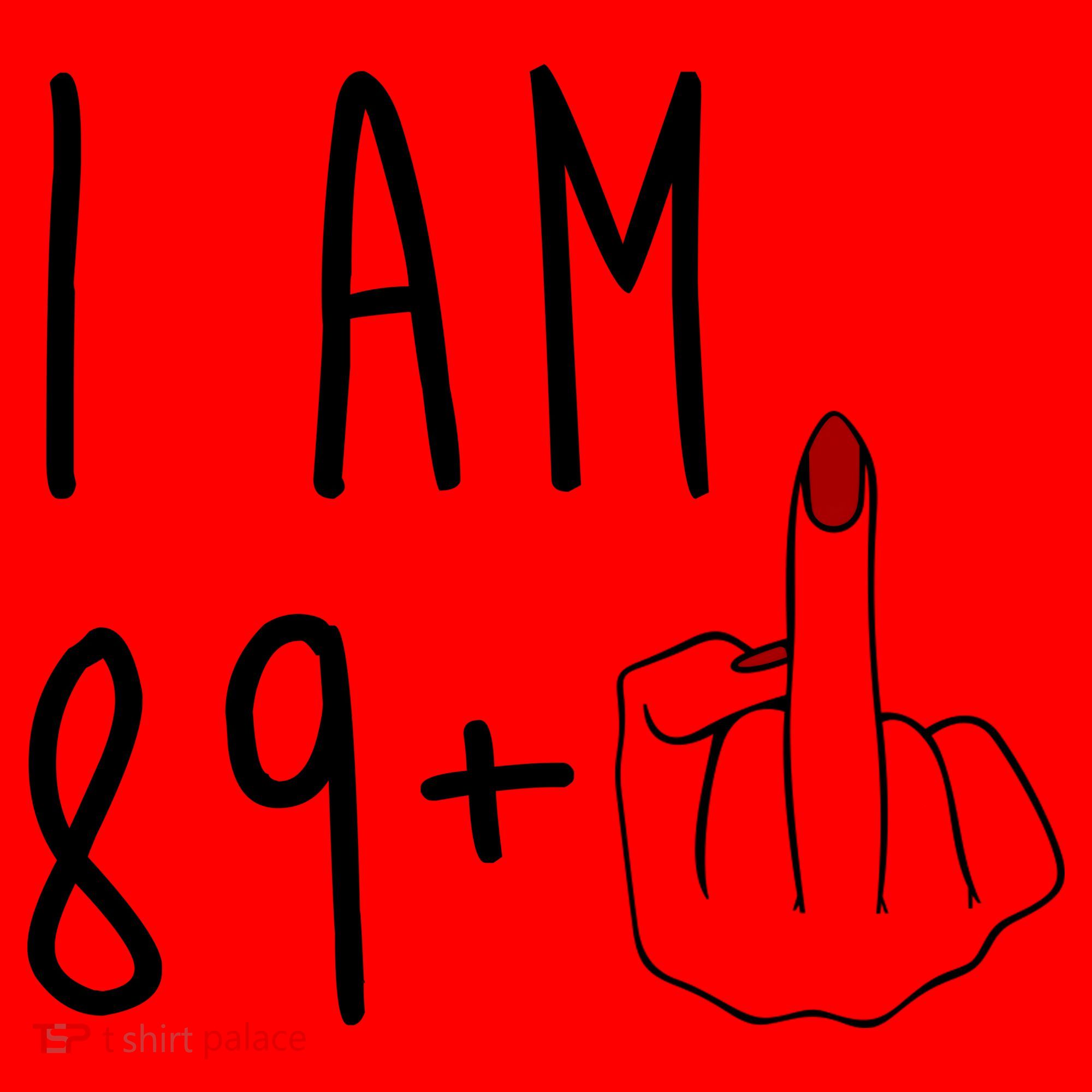 I Am 89 Plus Middle Finger Funny 90th Birthday Santa Hat