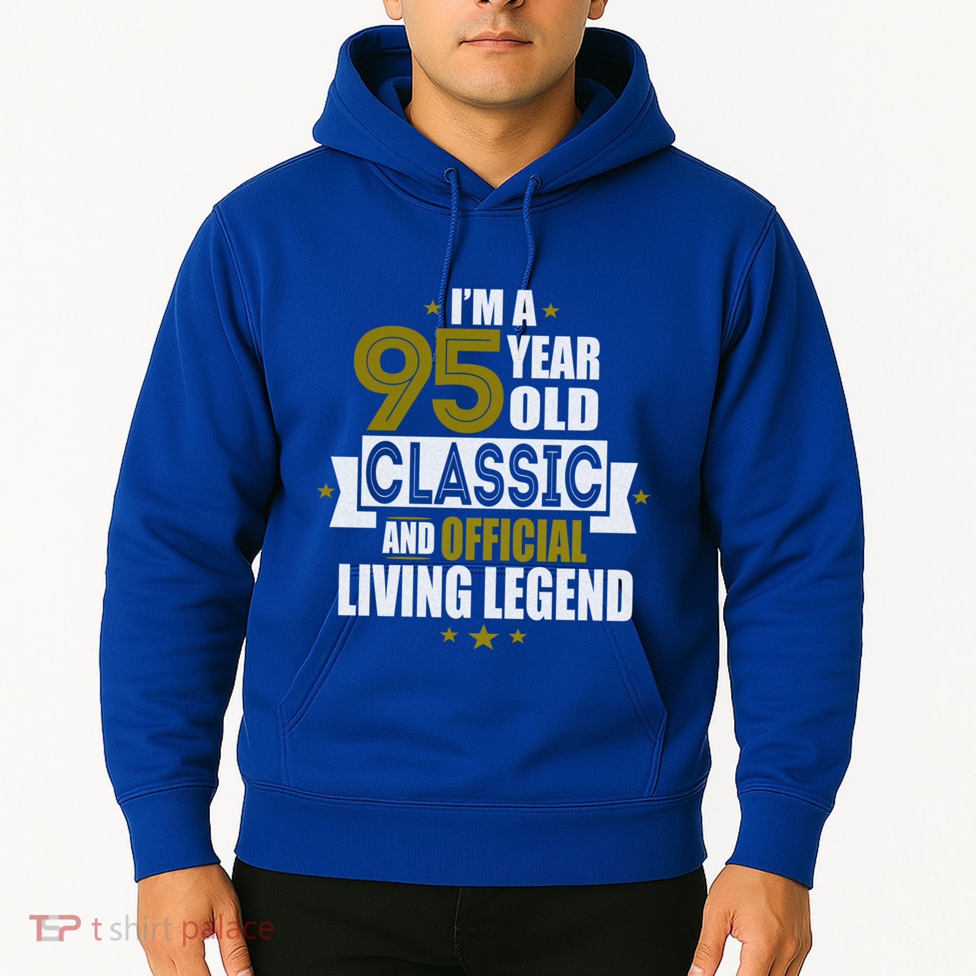 I'm A 95 Year Old Classic And Living Legend Gift Hoodie
