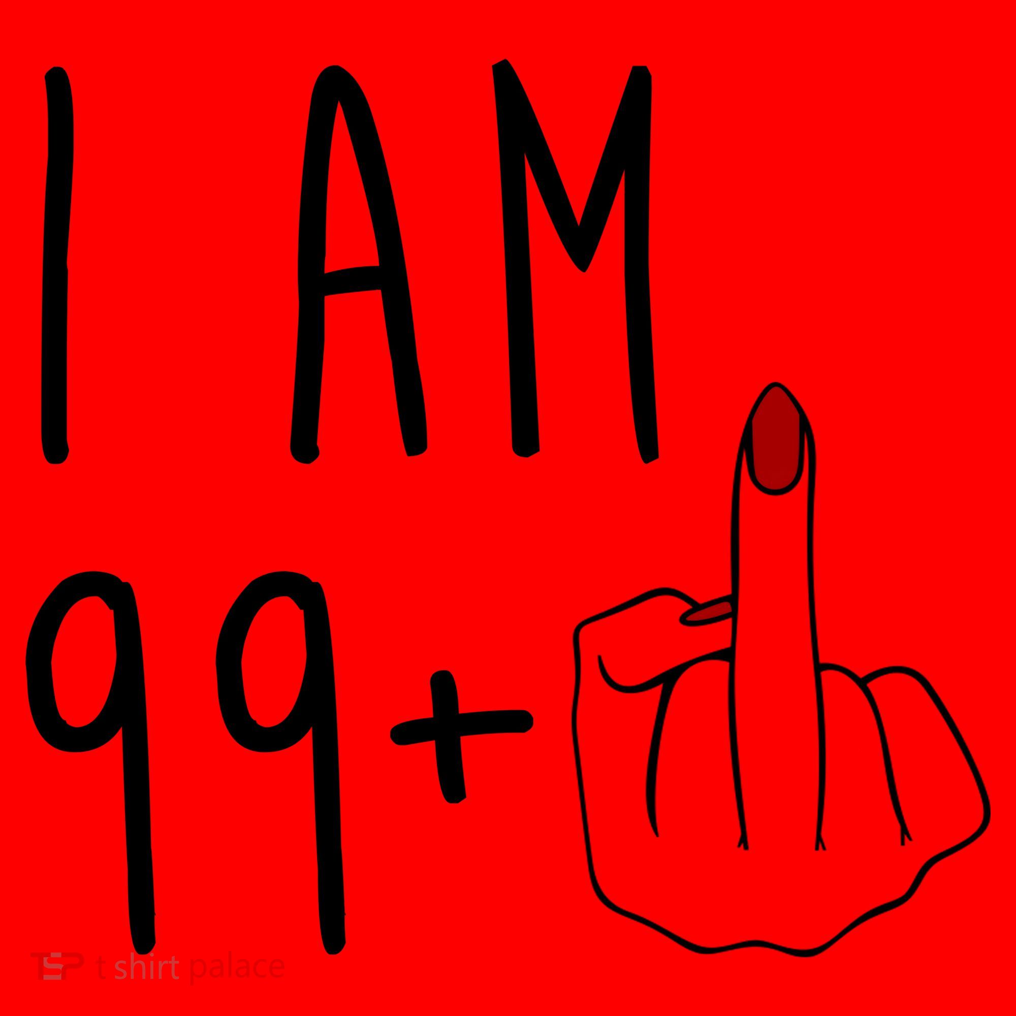 I Am 99 Plus Middle Finger Funny 100th Birthday Santa Hat