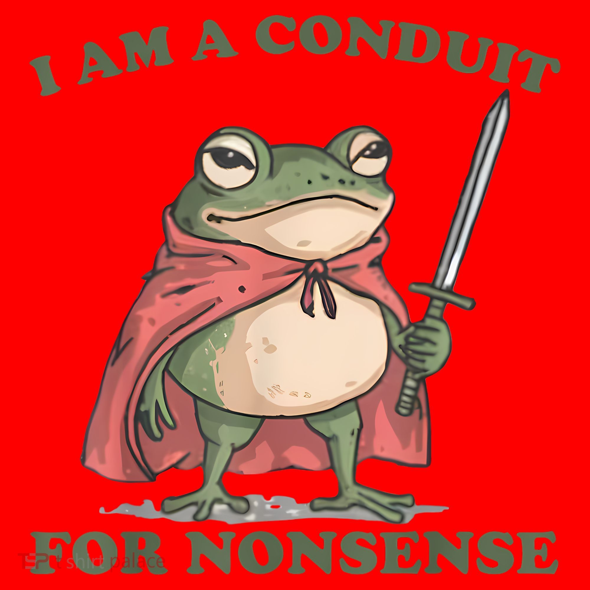 I Am A Conduit For Nonsense Funny Frog Santa Hat