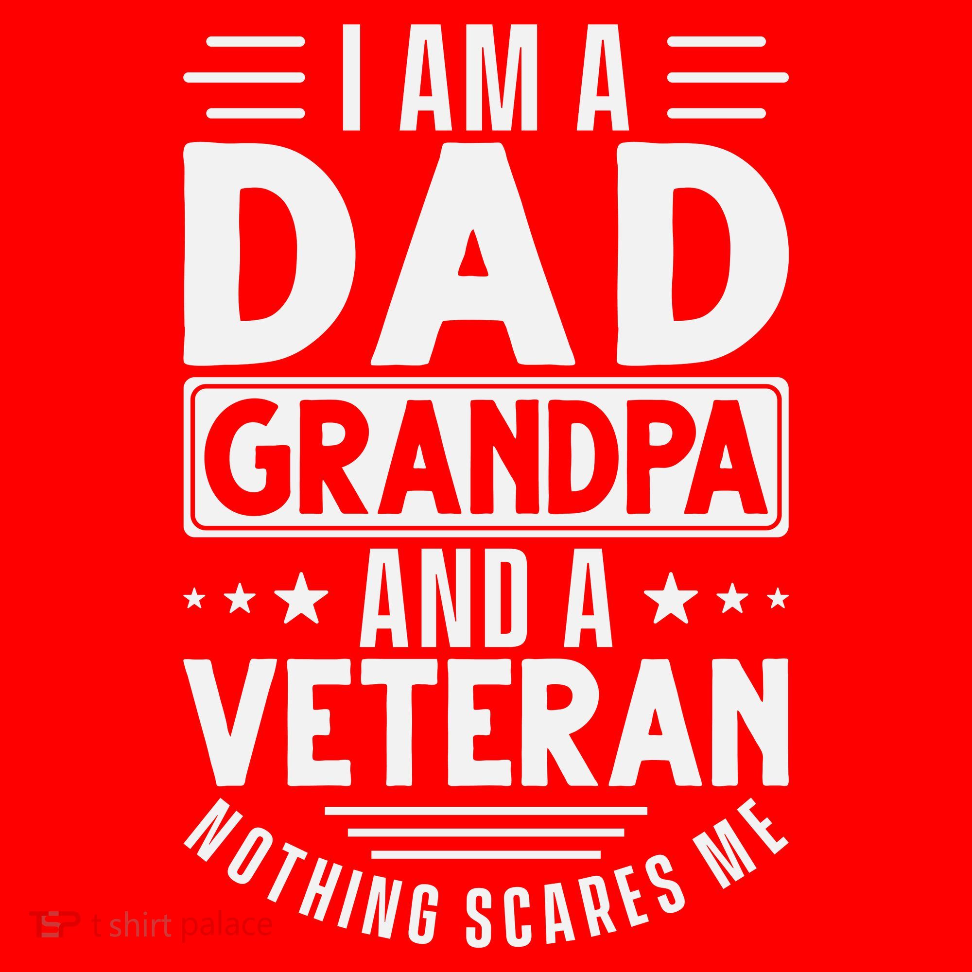 I Am A Dad Grandpa And Veteran Nothing Scares Me Santa Hat