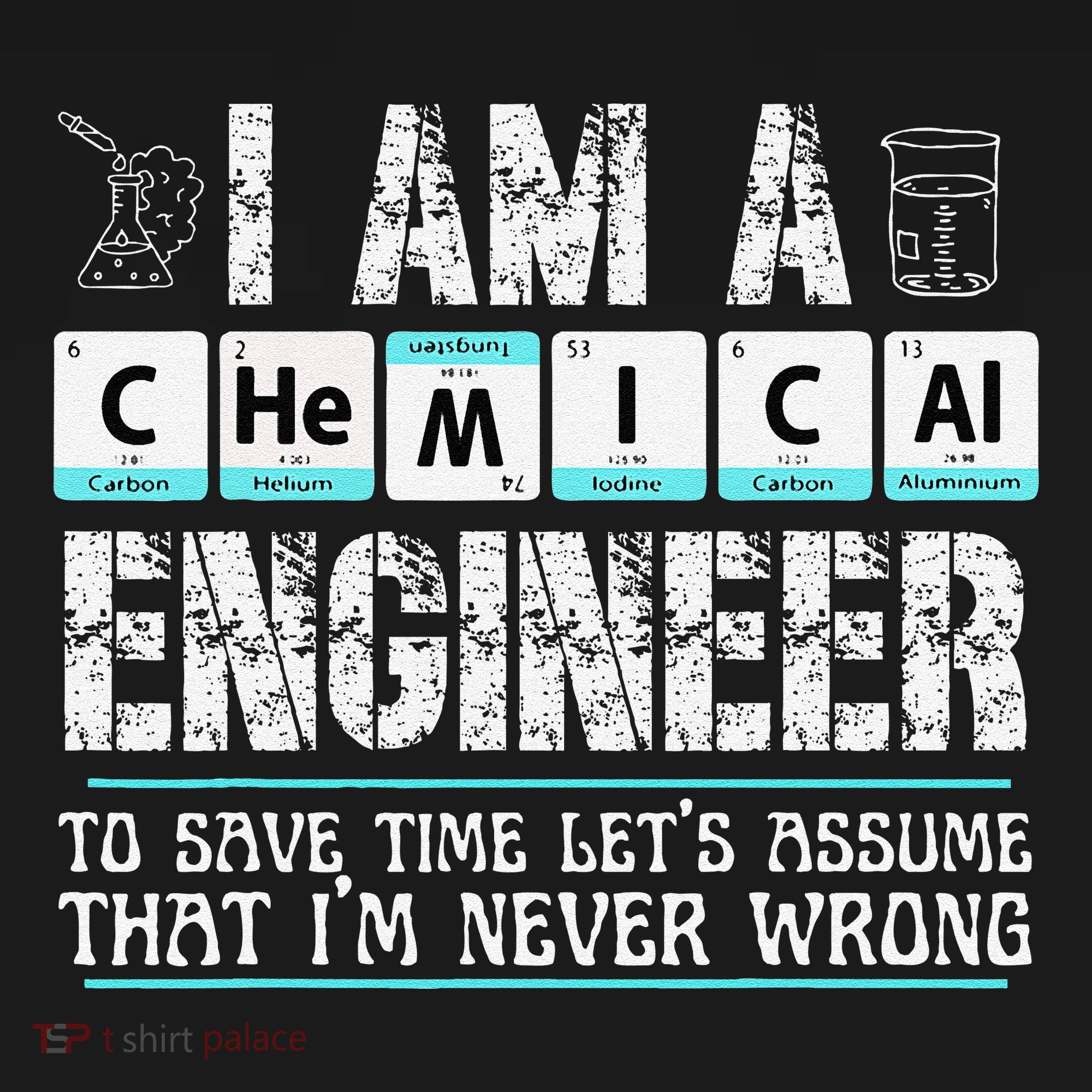I Am A Chemical Engineer To Save Time LetS Assume Women's T-Shirt
