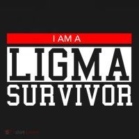 I Am A Ligma Survivor Gamer Dank Meme Theme Meaningful Gift Women's Hoodie thumb 2