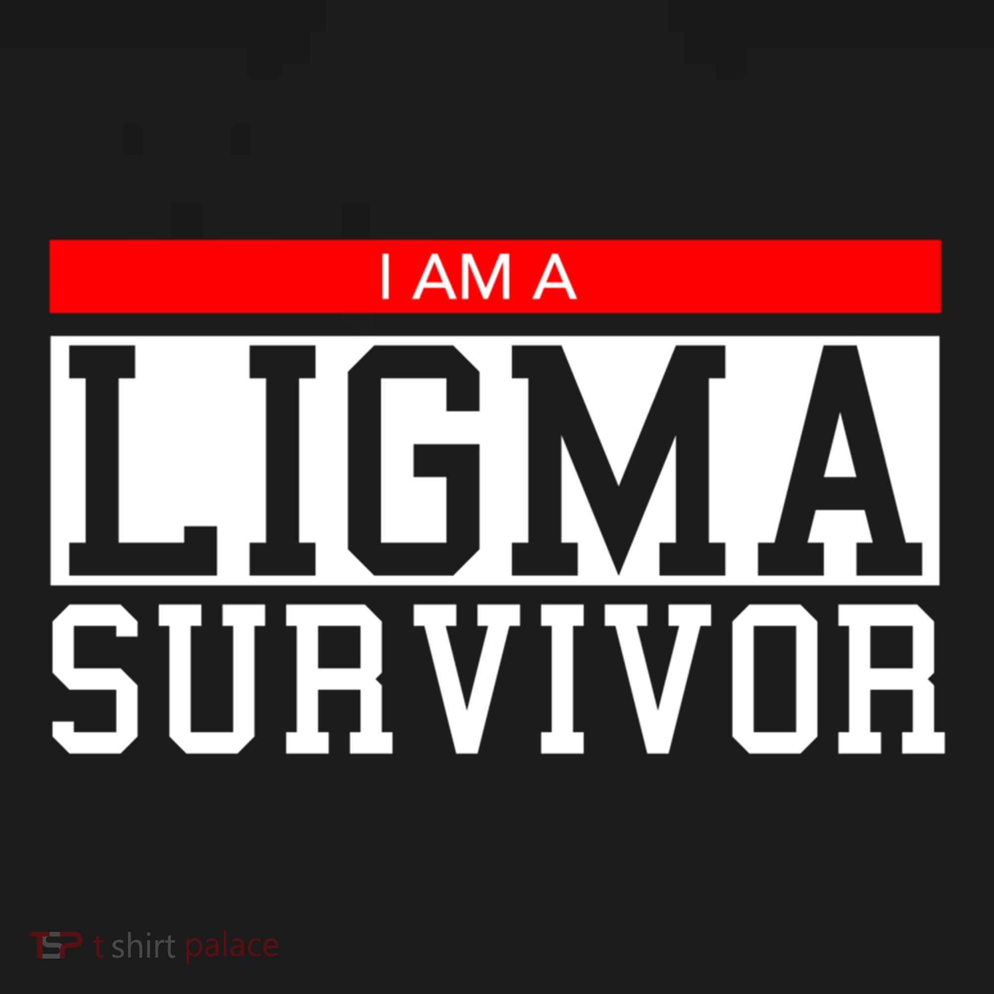 I Am A Ligma Survivor Gamer Dank Meme Theme Meaningful Gift Women's Hoodie