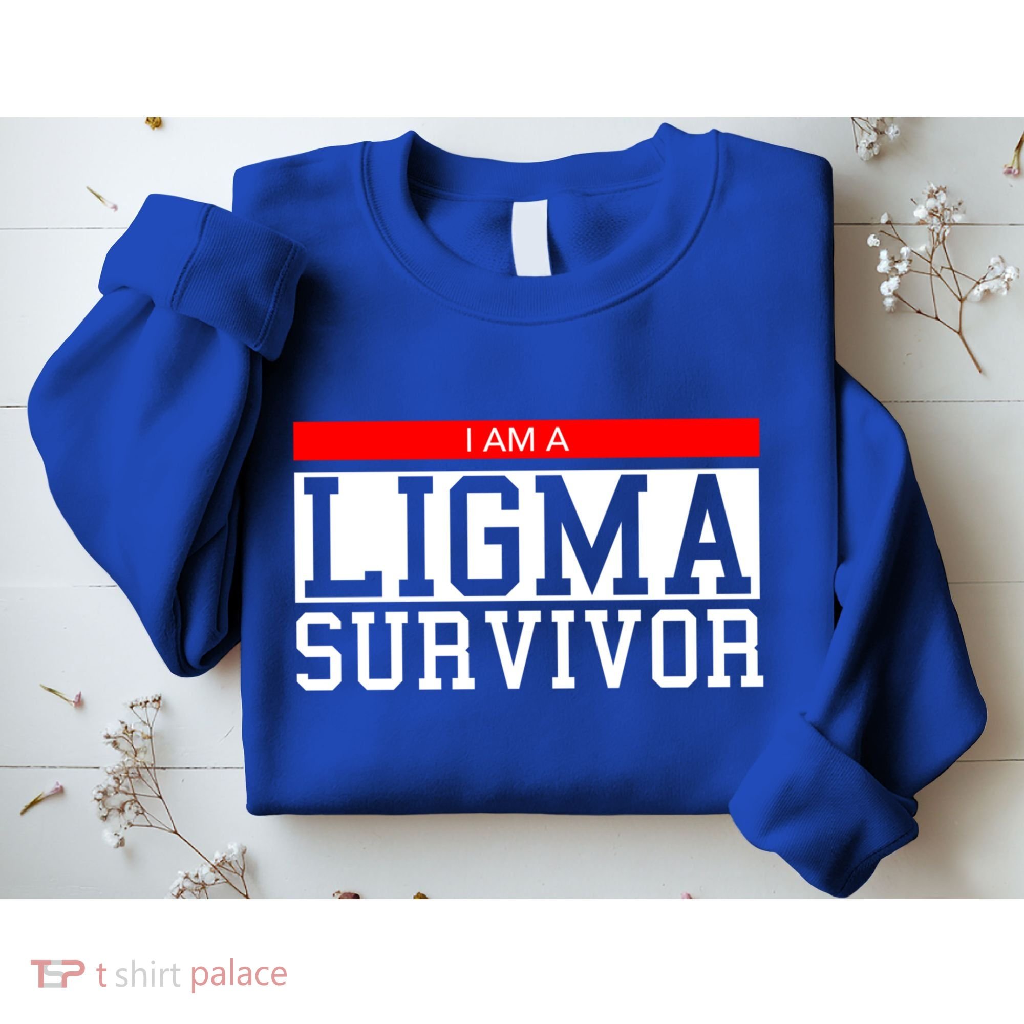 I Am A Ligma Survivor Gamer Dank Meme Theme Meaningful Gift Sweatshirt