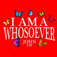I Am A Whosoever John 3:16 Jesus Christian Butterfly Gift Santa Hat thumb 1