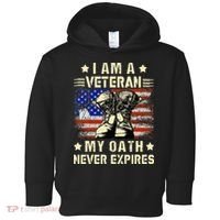 I am A Veteran My Oath Never Expires Veteran Day USA Flag Toddler Hoodie thumb 0