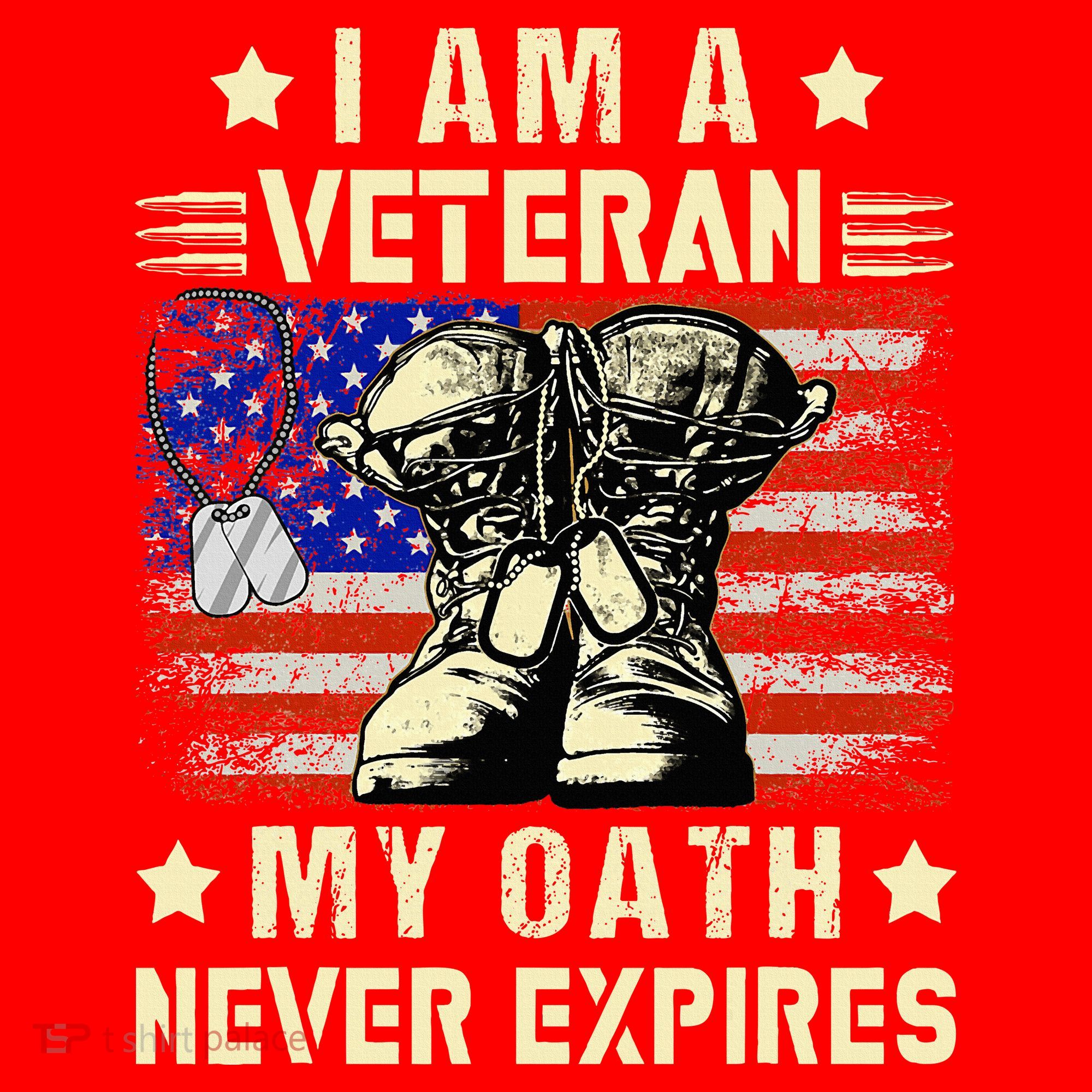 I am A Veteran My Oath Never Expires Veteran Day USA Flag Santa Hat