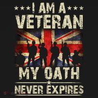 I Am A Veteran My Oath Never Expires Fathers Day Armed Forces Day Patriotic Ornament thumb 1