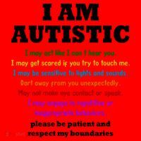 I Am Autistic Please Be Patient Santa Hat thumb 1