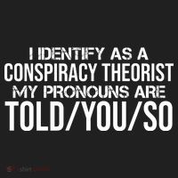 Identify As A Conspiracy Theorist Pronouns Are Told You So Women's Sweatshirt thumb 2