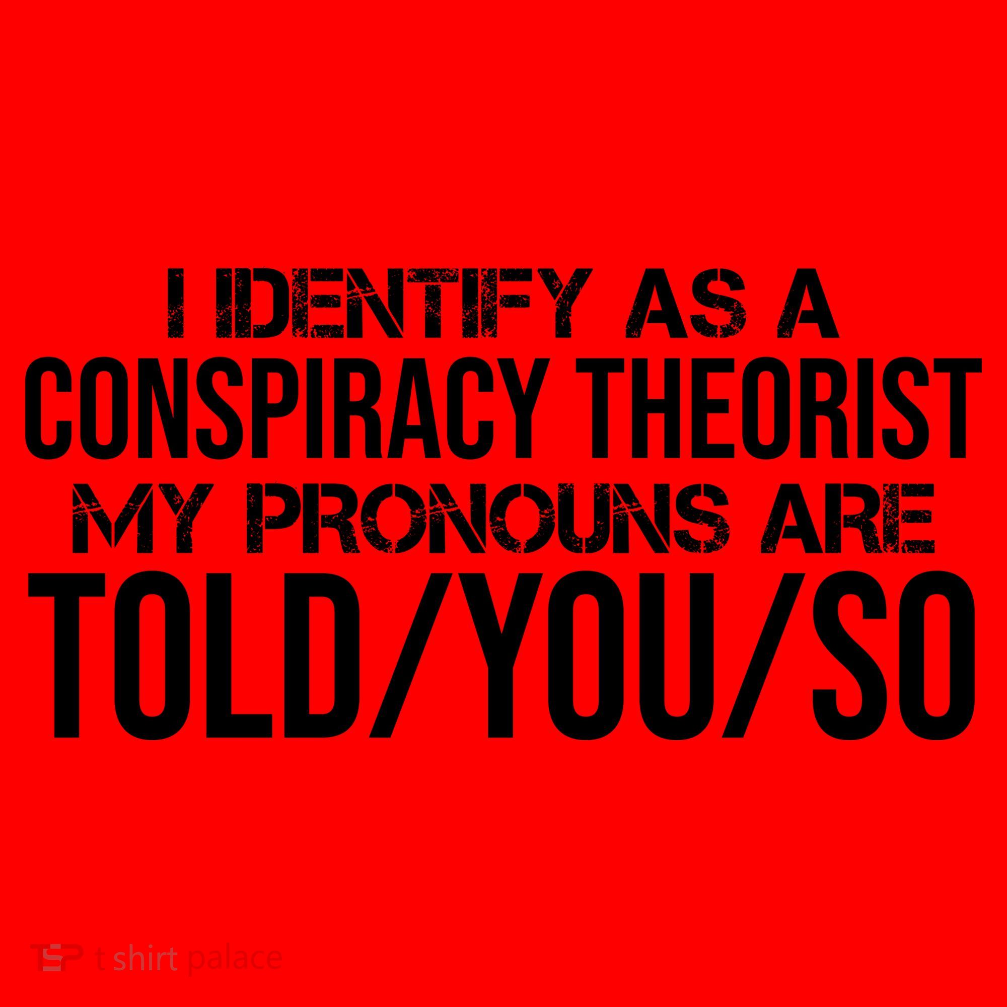 Identify As A Conspiracy Theorist Pronouns Are Told You So Santa Hat