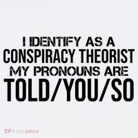 Identify As A Conspiracy Theorist Pronouns Are Told You So Sweatshirt thumb 3