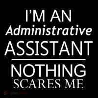 I'm An Administrative Assistant Funny Office Admin Asst Gift Great Gift Ornament thumb 1