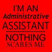 I'm An Administrative Assistant Funny Office Admin Asst Gift Great Gift Santa Hat thumb 1