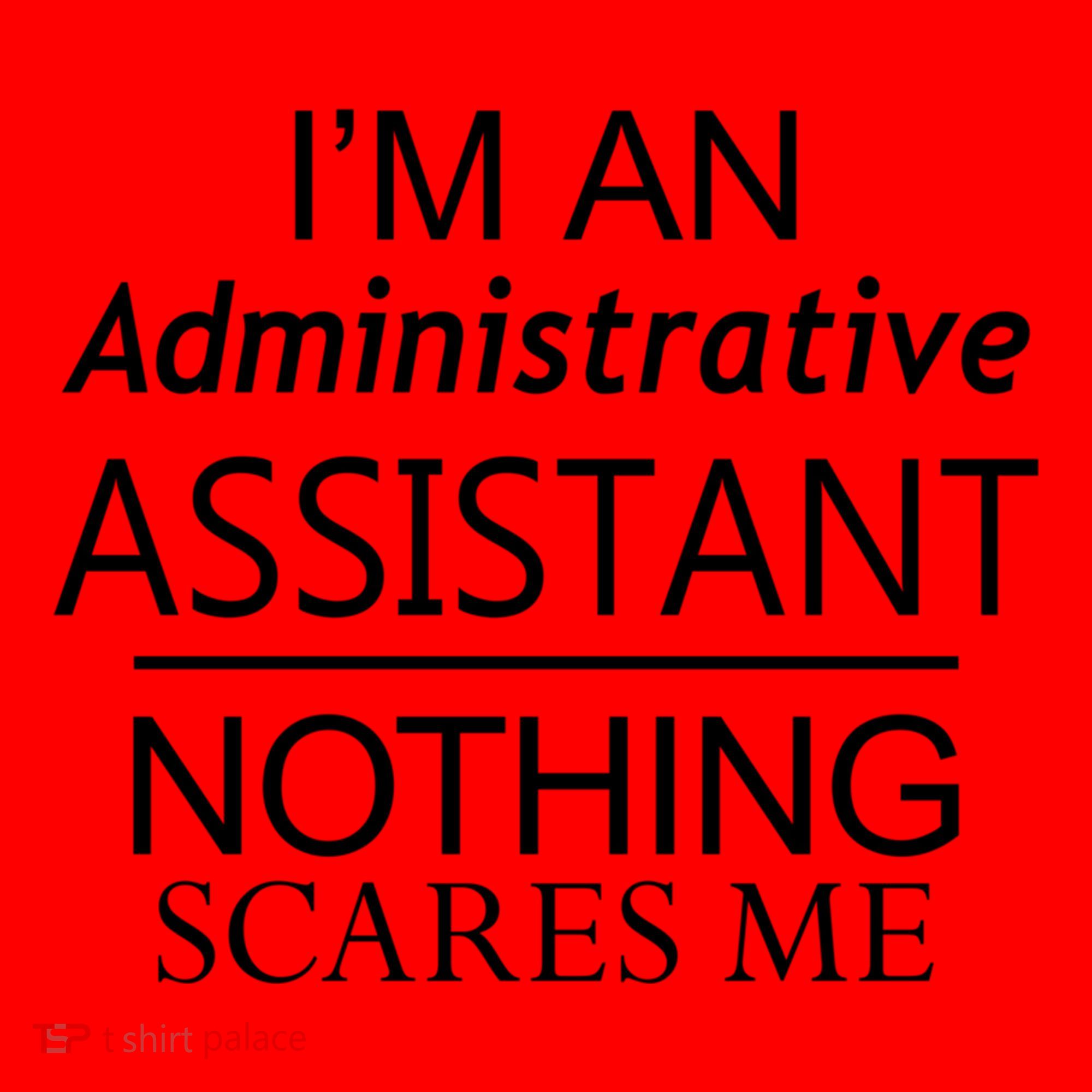 I'm An Administrative Assistant Funny Office Admin Asst Gift Great Gift Santa Hat