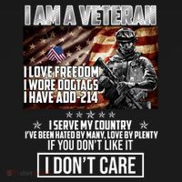 I Am A Veteran If You Don't Like It I Don't Care Women's Hoodie thumb 2
