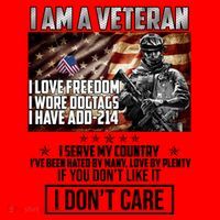 I Am A Veteran If You Don't Like It I Don't Care Santa Hat thumb 1