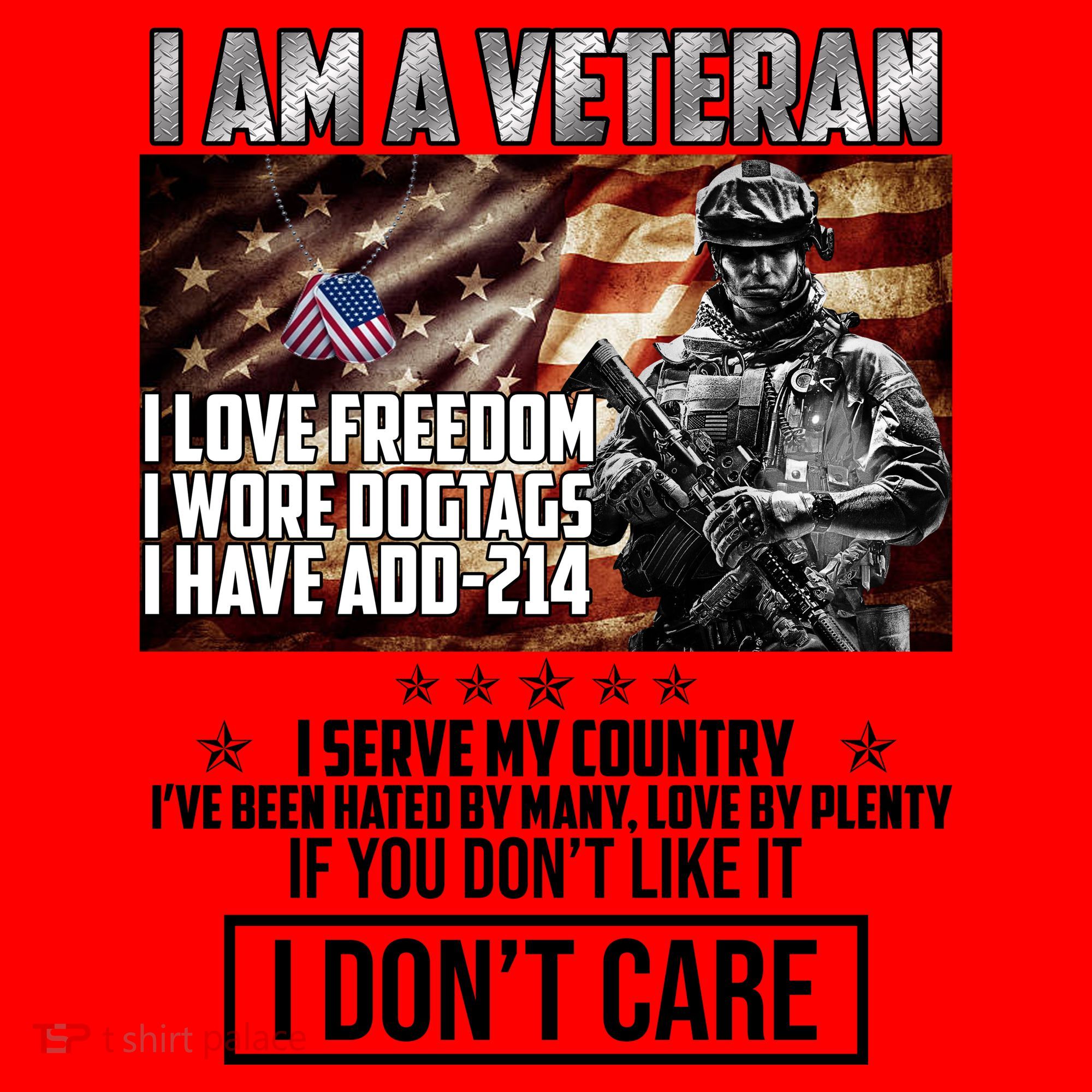 I Am A Veteran If You Don't Like It I Don't Care Santa Hat