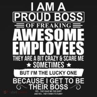 I Am A Proud Of Freaking Awesome Employees Funny Gift Long Sleeve Shirt thumb 2