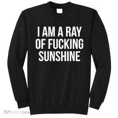 I Am A Ray Of Sunshine Sweatshirt