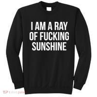 I Am A Ray Of Sunshine Sweatshirt thumb 0