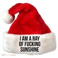 I Am A Ray Of Sunshine Santa Hat thumb 0