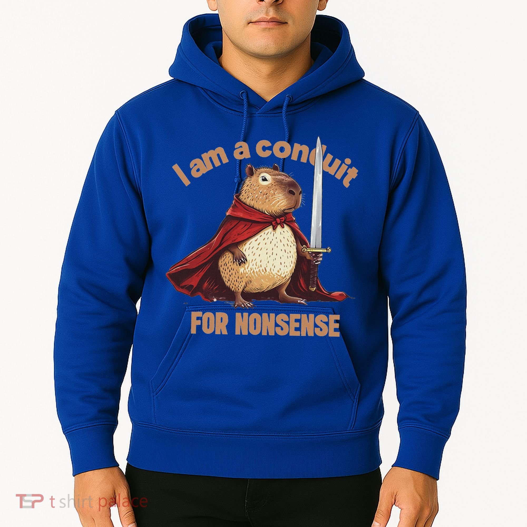 I Am A Conduit For Nonsense Hoodie